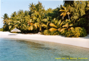 Strand 3